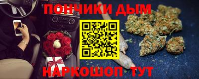 стаф Новодвинск