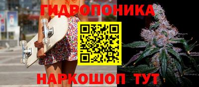 стаф Новодвинск