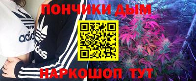 стаф Новодвинск