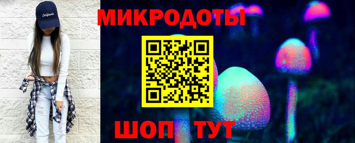 Тольятти  Псилоцибиновые грибы Cubensis  Вход с VPN 