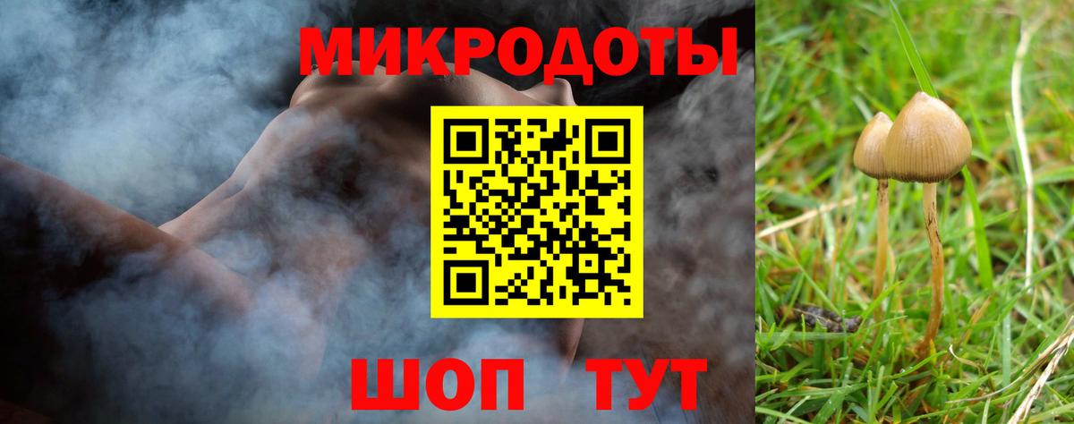 Галлюциногенные грибы Psilocybine cubensis Тольятти